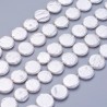 5 τεμ, 10x3 χλστ, Μαργαριτάρι Κέλυφους, Χάντρα, Στρογγυλό, Λευκό (SPS-10MM-W)