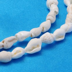 100 ή 40 τεμ, 6~11x4~7 χλστ, Φυσικά Κοχύλια, Σπιράλ (SCS-11MM-W)